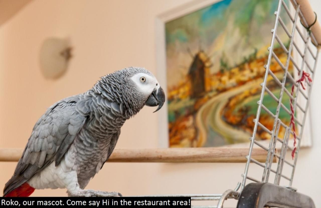 Апарт-отели Colosseum 2 Aparthotel Солнечный Берег-43